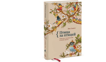 Впечатления о книге для писателей «Птица за птицей» Энн Ламотт