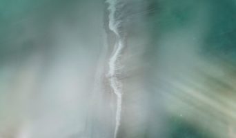 Чему нас учат болезни?